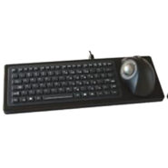 Integrated keyboard with trackball